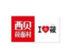 战略合作伙伴